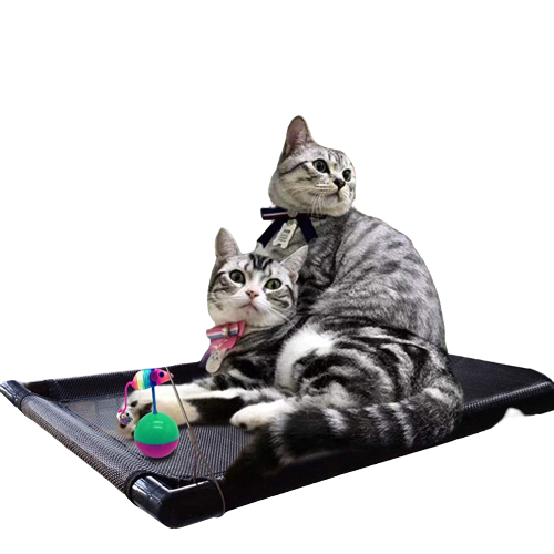 DV 12392 WINDOW HAMMOCK FOR CATS 66*40*2,5CM BLACK 